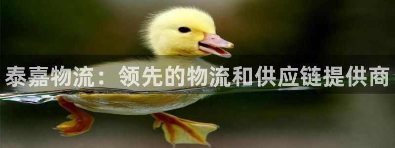 28圈v6能卖多少：泰嘉物流：领先的