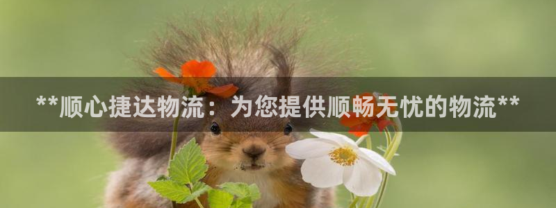 28圈注册上限是啥意思：**顺心捷达