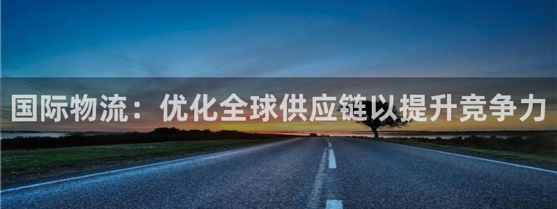 28圈下载不了：国际物流：优化全球供