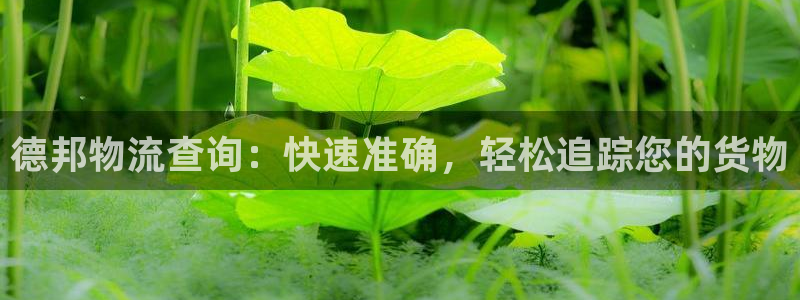 28圈链官网：德邦物流查询：快速准确