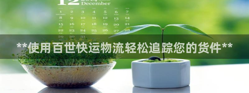 28圈充值不到账什么原因