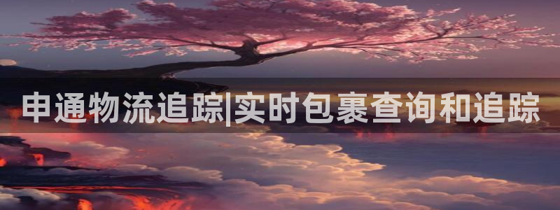 加拿大28圈数字规则：申通物流追踪|