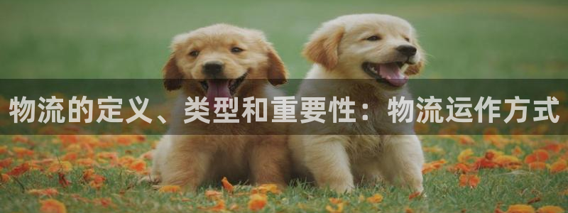28圈加拿大2.8预测在线预测：物流