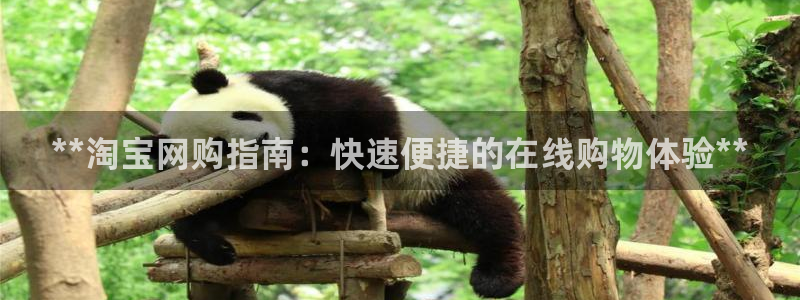 28圈人工客服电话是什么