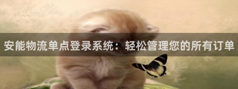 南宫28圈官网：安能物流单点登录系统