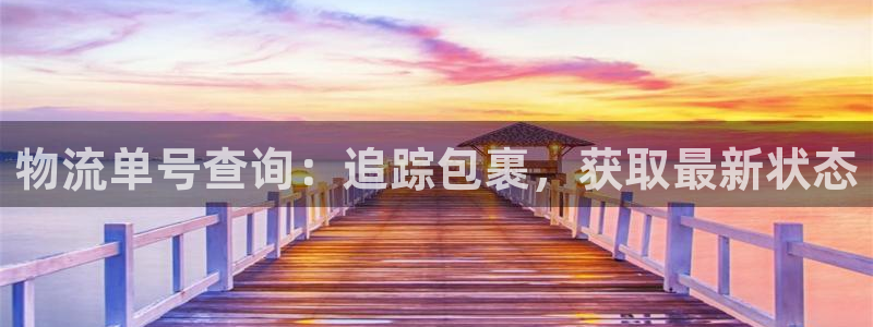 28圈登录网：物流单号查询：追踪包裹