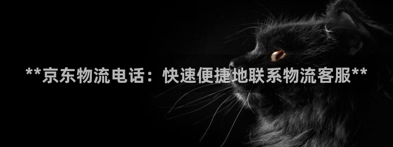 28圈下载二维码怎么弄