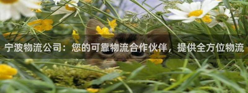 28圈官网网站
