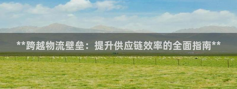28圈稳吗：**跨越物流壁垒：提升供