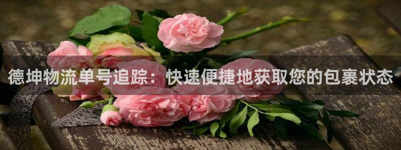 28圈技巧：德坤物流单号追踪：快速便