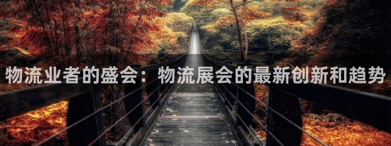 28圈预测网