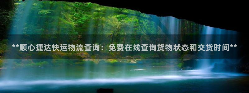 28圈充值：**顺心捷达快运物流查询
