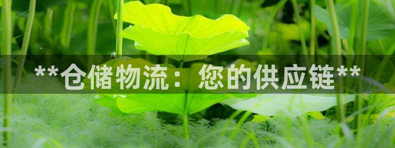 28圈绿骨头：**仓储物流：您的供应