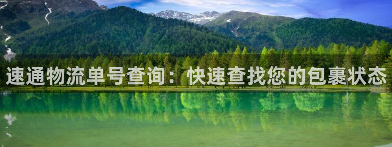 28圈游戏官网平台：速通物流单号查询