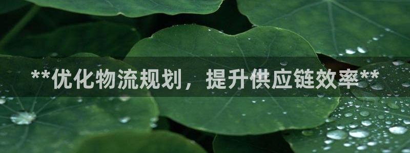 28圈提现未达5期是什么意思