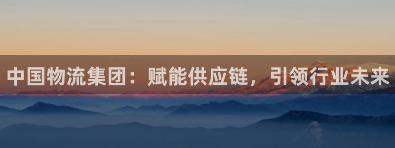 28圈赌博被抓：中国物流集团：赋能供