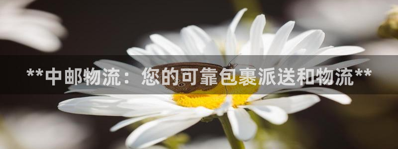 28圈下载不了
