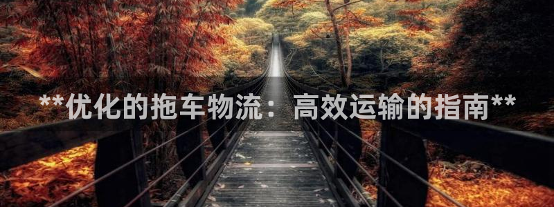 pc28圈怎么注册：**优化的拖车物
