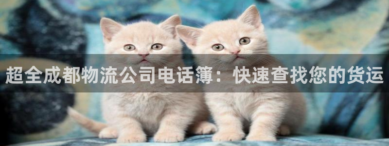 28圈h5链接