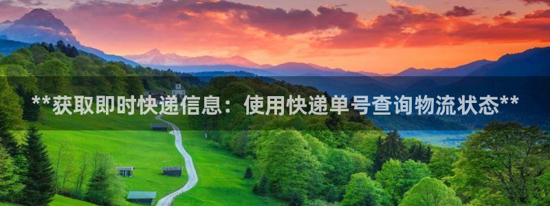28圈官网网站：**获取即时快递信息