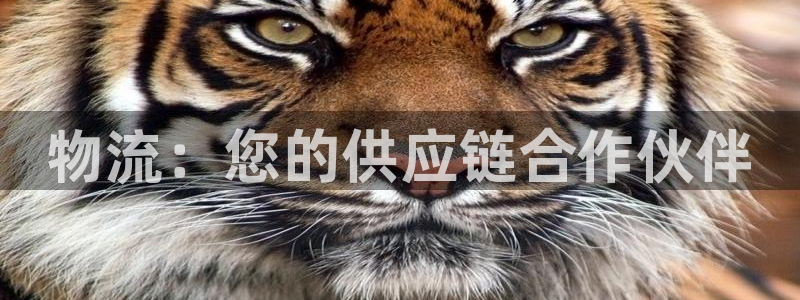 28圈自行车图片大全：物流：您的供应