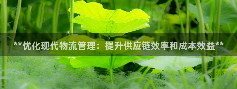 28圈代理落网