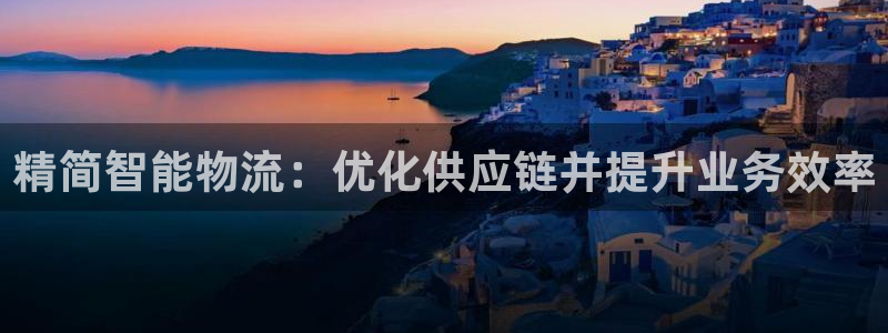 28圈游戏官网版：精简智能物流：优化