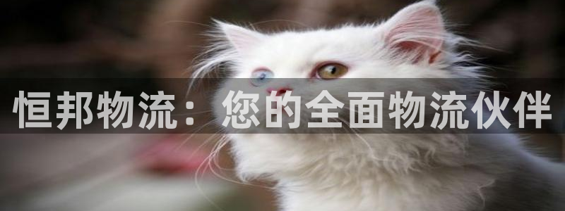 28圈