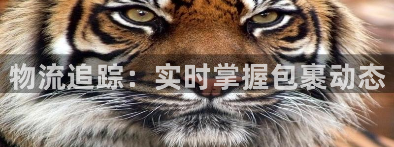 28圈加拿大是什么：物流追踪：实时掌