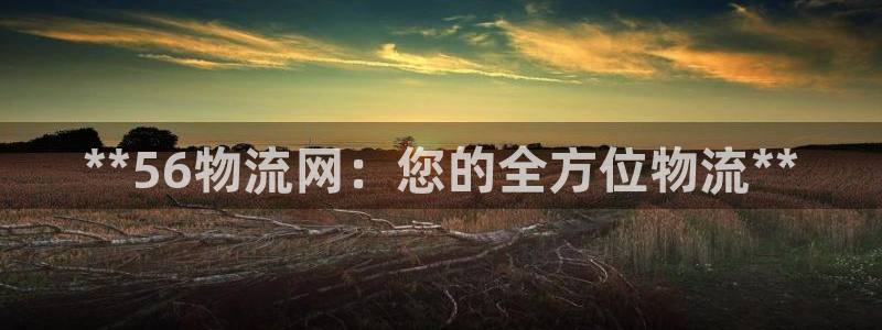 28圈加拿大怎么玩