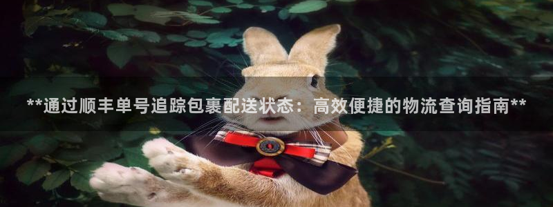 28圈pg麻将胡了