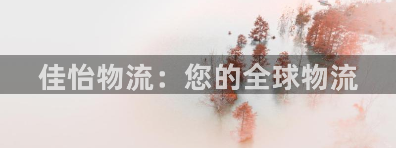 pc28圈怎么注册：佳怡物流：您的全