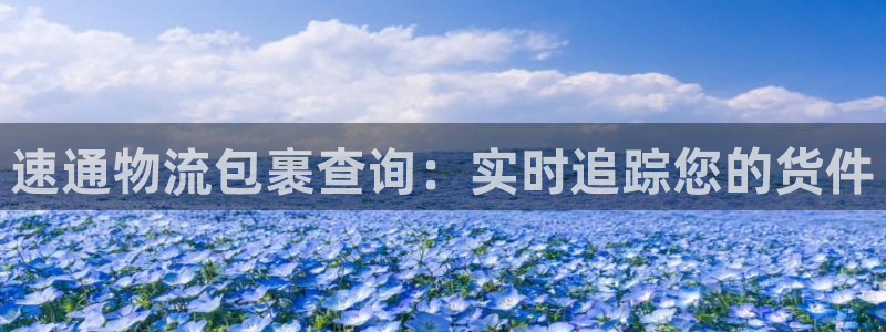 28圈注册流程：速通物流包裹查询：实