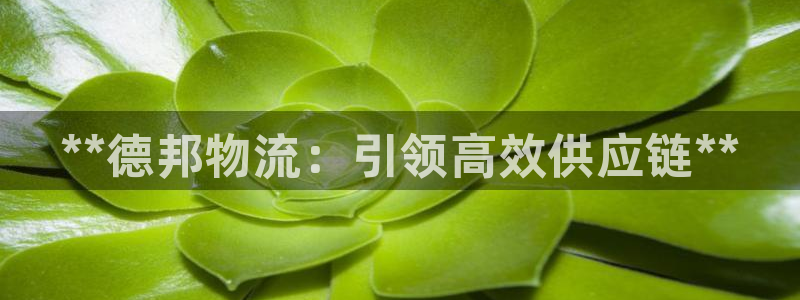 28圈的自行车