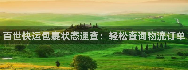 28圈链官网：百世快运包裹状态速查：