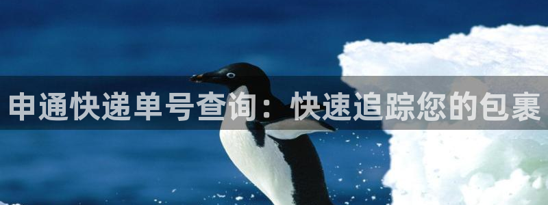 28圈自行车图片大全