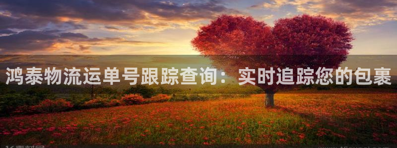 28圈官网版所有版本：鸿泰物流运单号