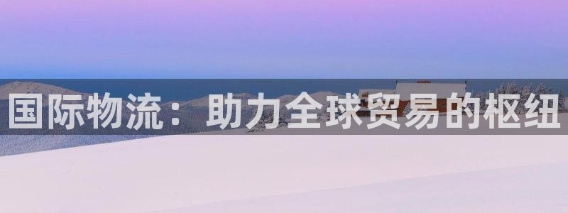 28圈注册问一问：国际物流：助力全球