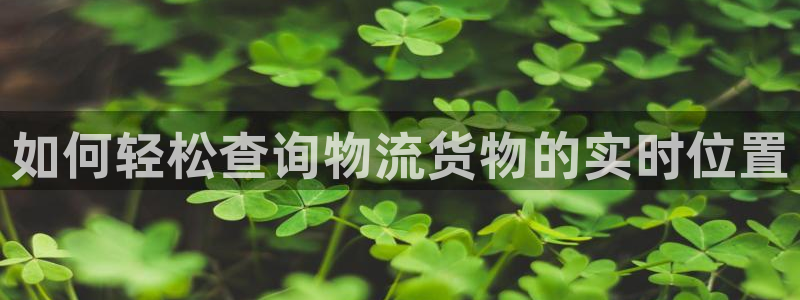 28圈充值不处理：如何轻松查询物流货