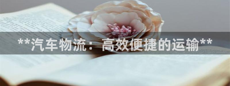 28圈选28ng官网