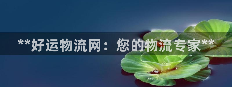 28圈官网网站
