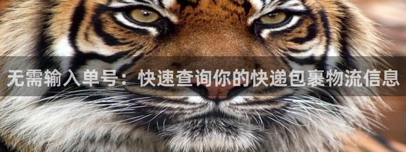 28圈圈：无需输入单号：快速查询你的