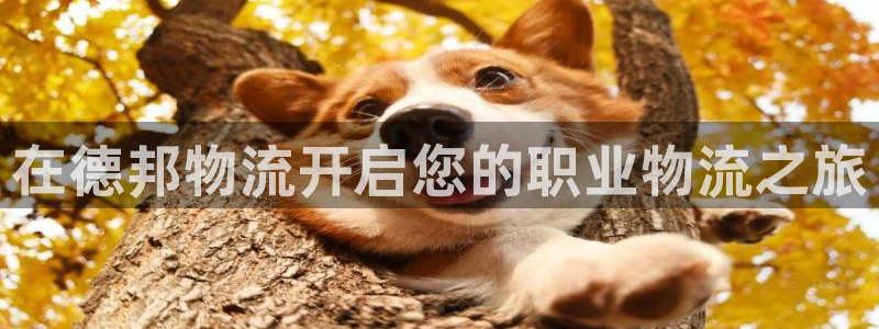 28圈下分了不给钱