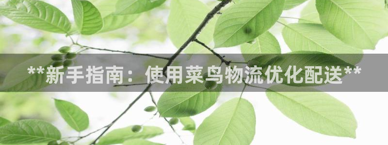 28圈cn