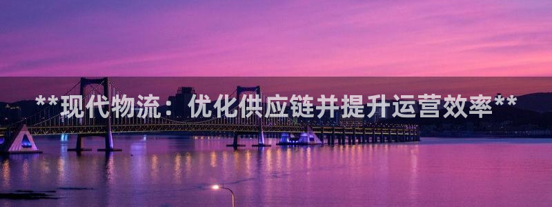 28圈登录：**现代物流：优化供应链