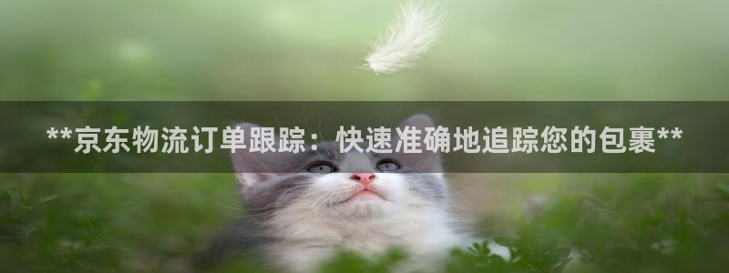 28圈圈助手