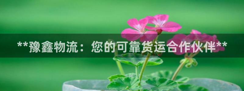 28圈注册链接入口：**豫鑫物流：您