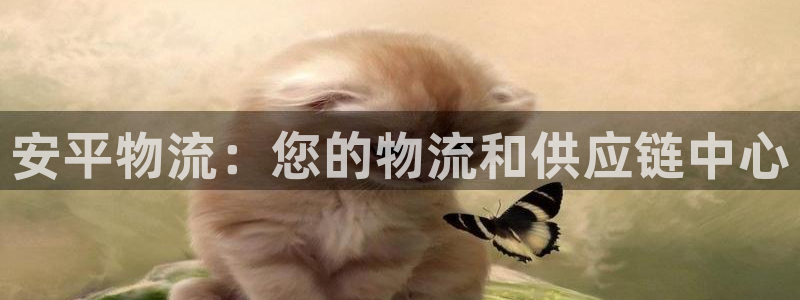 28圈ip被限制怎么解决