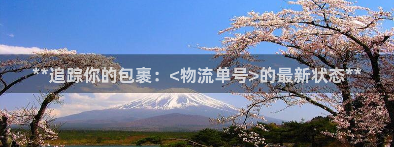 28圈黑平台吗：**追踪你的包裹：<