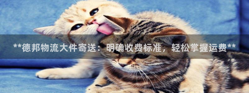 28圈辅助：**德邦物流大件寄送：明
